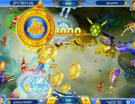 云开足球平台手机版